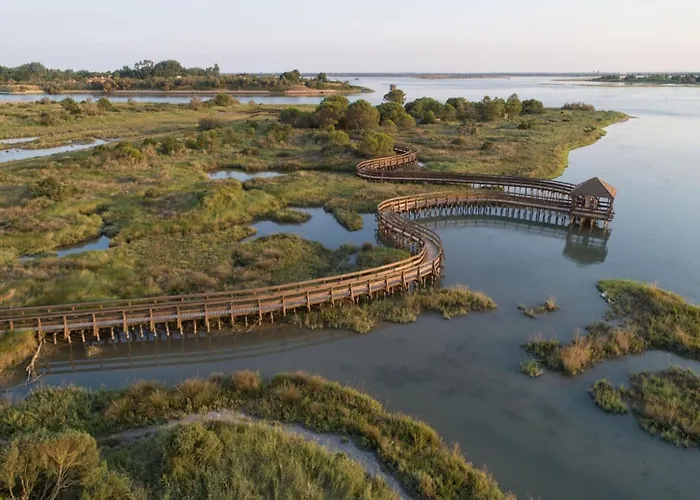 Bright Flat In Rosolina With Shared Pool Rosolina Mare