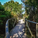 Apartman Bright Flat In Rosolina With Shared Pool Rosolina Mare