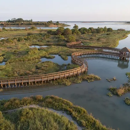 Bright Flat In Rosolina With Shared Pool Rosolina Mare