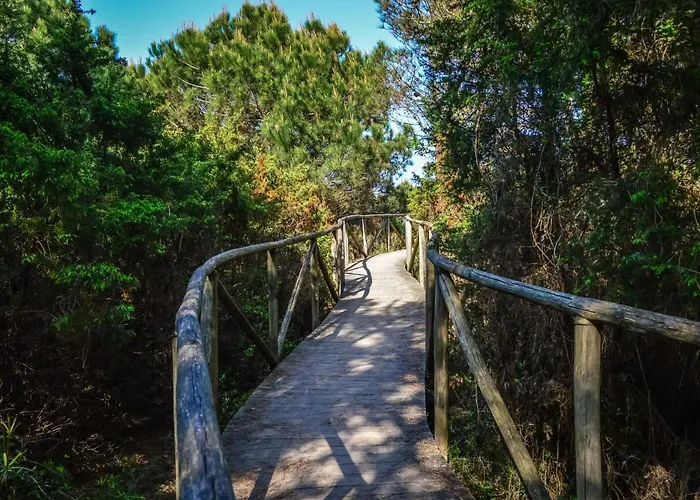 Apartment Bright Flat In Rosolina With Shared Pool Rosolina Mare