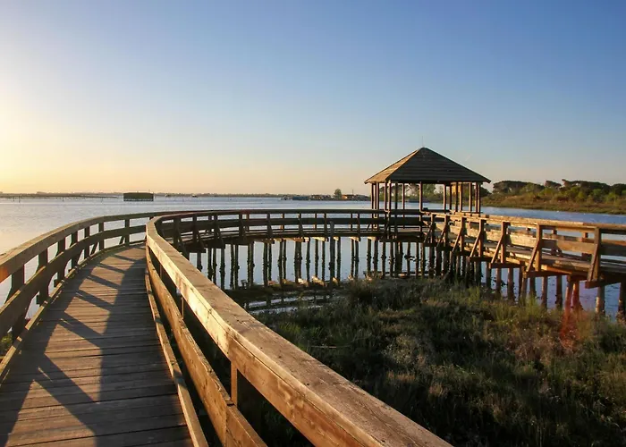 Bright Flat In Rosolina With Shared Pool Rosolina Mare